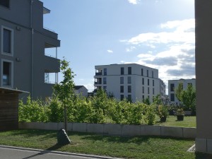 Quartiere Riedpark, Lauchringen